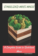 Stabilized Moss Magic: A Complete Guide to Stabilized Moss