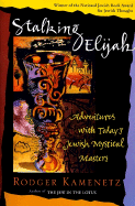Stalking Elijah: Adventures with Today's Jewish Mystical Masters - Kamenetz, Rodger