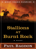 Stallions at Burnt Rock