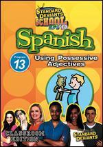 Standard Deviants School: Spanish, Vol. 13 - Using Possessive Adjectives