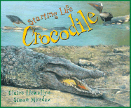 Starting Life: Crocodile