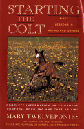 Starting the colt
