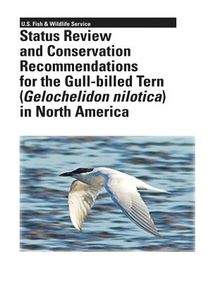 Status Review and Conservation Recommendations for the Gull-billed Tern (Gelochelidon nilotica) in North America - Erwin, R Michael, and Palacios, Eduardo, and Mellink, Eric