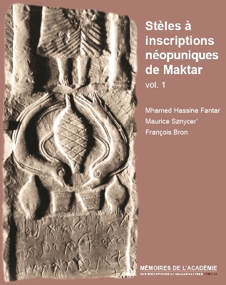 Steles a Inscriptions Neopuniques de Maktar Vol. 1: (Corpus Des Antiquites Pheniciennes Et Puniques, France 3 / Tunisie 1) - Sznycer, M, and Fantar, Mh, and Bron, F