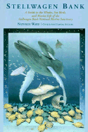 Stellwagen Bank: A Guide to the Whales, Sea Birds, and Marine Life of the Stellwagen Bank National Marine Sanctuary - Ward, Nathalie