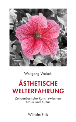 ?sthetische Welterfahrung: Zeitgenssische Kunst Zwischen Natur Und Kultur - Welsch, Wolfgang