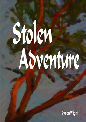 Stolen Adventure - Wright, Sharon