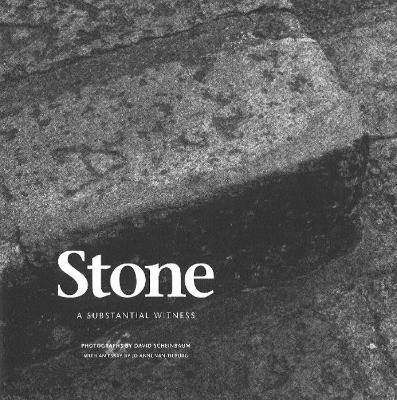 Stone: A Substantial Witness: A Substantial Witness - Scheinbaum, David (Photographer), and Jo Anne, Van Tilburg (Contributions by)