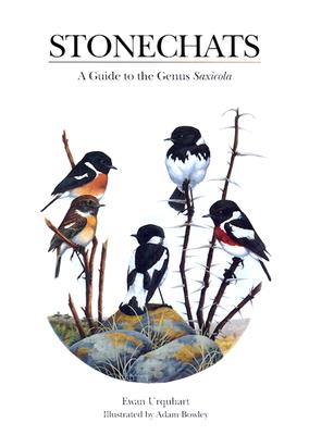 Stonechats: A Guide to the Genus Saxicola - Urquhart, Ewan