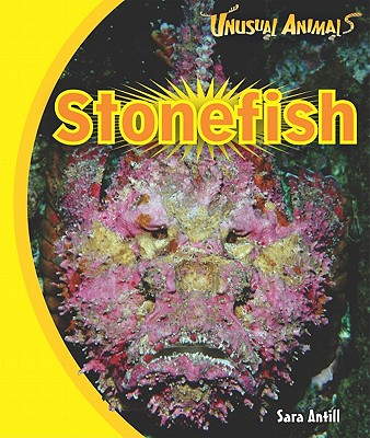 Stonefish - Antill, Sara