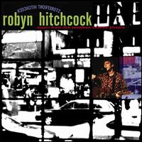 Storefront Hitchcock - Robyn Hitchcock