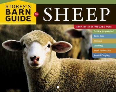 Storeys Barn Guide Sheep - Pangman, Judy
