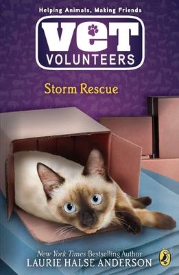 Storm Rescue - Anderson, Laurie Halse