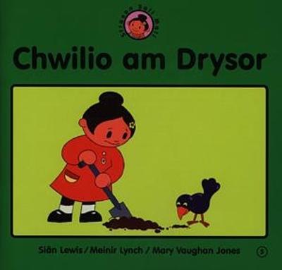 Straeon Sali Mali: 5. Chwilio am Drysor - Lewis, Si?n