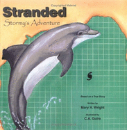 Stranded: Stormy's Adventure, Based on a True Story