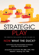 Strategic Play: The Creative Facilitator's Guide Volume #12