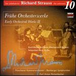 Strauss, the Unknown, Vol. 10: Early Orchestral Works, Vol.2 - Bodil Arnesen (soprano); Karl-Heinz Steffens (clarinet); Sebastian Hess (cello); Bamberger Symphoniker