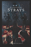 Strays: The Corrector. Book 1