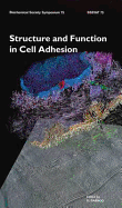 Structure and Function in Cell Adhesion