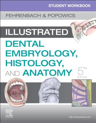 Student Workbook for Illustrated Dental Embryology, Histology and Anatomy - Fehrenbach, Margaret J, MS