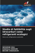 Studio di fattibilit? sugli idrocarburi come refrigeranti ecologici