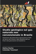 Studio geologico sul gas naturale non convenzionale in Brasile