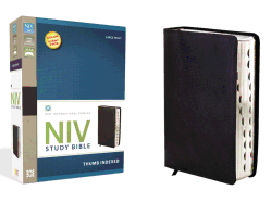 Study Bible-NIV-Large Print