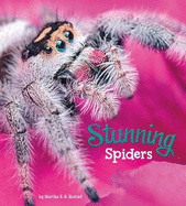Stunning Spiders