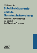 Subsidiaritatsprinzip Und Eu-Gemeinschaftsordnung: Anspruch Und Wirklichkeit Am Beispiel Des Maastricht-Prozesses