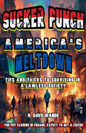 Sucker Punch: America's Meltdown Tips and Tricks to Survive in an Increasingly Lawless Society