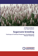 Sugarcane breeding