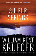 Sulfur Springs: A Novelvolume 16