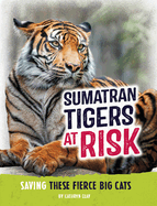 Sumatran Tigers at Risk: Saving These Fierce Big Cats