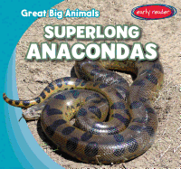 Superlong Anacondas