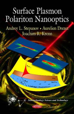 Surface Plasmon Polariton Nanooptics - Stepanov, Andrey L (Editor), and Drezet, Aurelien (Editor), and Krenn, Joachim R (Editor)