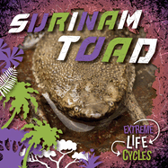 Surinam Toad