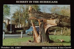 Surrey in the Hurricane: Great Storm of October 16th 1987 1987