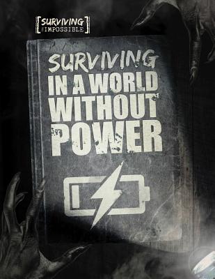 Surviving in a World Without Power - Ogden, Charlie