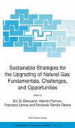 Sustainable Strategies for the Upgrading of Natural Gas: Fundamentals, Challenges, and Opportunities - Derouane, E G (Editor), and Parmon, Valentin (Editor), and Lemos, Francisco (Editor)