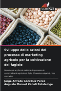 Sviluppo delle azioni del processo di marketing agricolo per la coltivazione del fagiolo