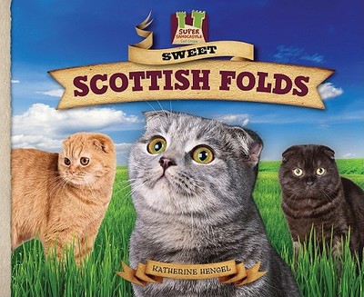 Sweet Scottish Folds - Hengel, Katherine