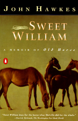 Sweet William: A Memoir of Old Horse - Hawkes, John