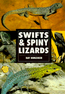 Swifts and Spiny Lizards