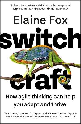 Switchcraft: How Agile Thinking Can Help You Adapt and Thrive - Fox, Elaine