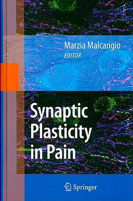 Synaptic Plasticity in Pain - Malcangio, Marzia (Editor)