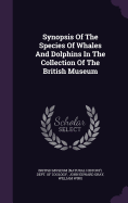 Synopsis of the Species of Whales and Dolphins in the Collection of the British Museum