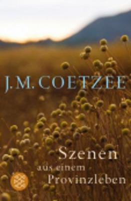 Szenen Aus Einem Provinzleben - Coetzee, J M