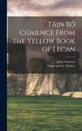 Tin B Cailnce from the Yellow Book of Lecan