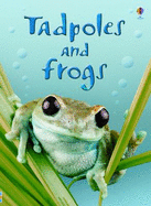 Tadpoles and Frogs