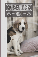 Tageskalender 2020: Terminkalender ca DIN A5 wei? ?ber 370 Seiten I 1 Tag eine Seite I Jahreskalender I Beagle I Hunde